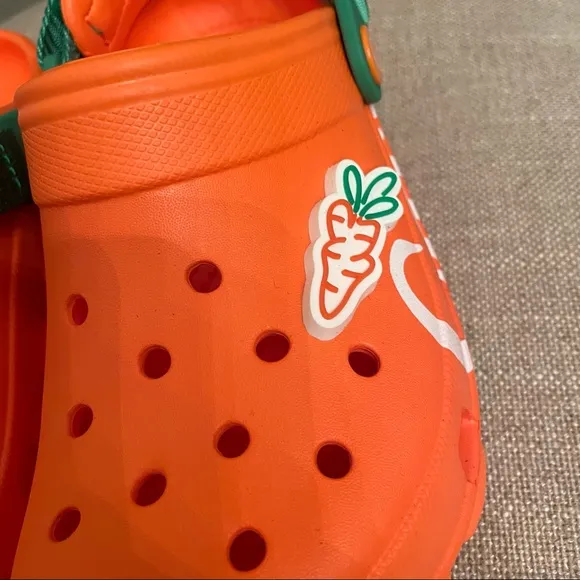 BRAND NEW CROCS X CARROTS ALL TERRAIN CLOGS - 9060