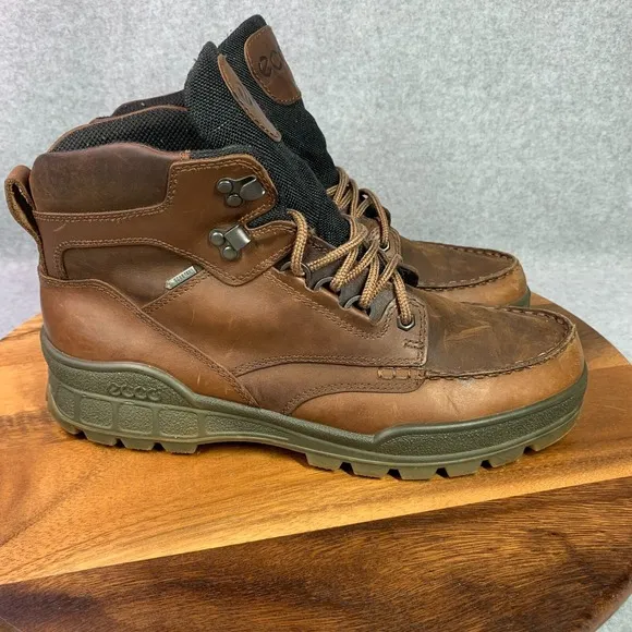 ECCO Track 25 High GTX Hiking Boot Men EU 45 Brown Leather Waterproof US 11/11.5