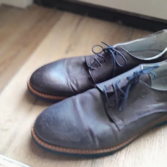 NERO GIARDINI Derby Oxford Dark Brown Shoe Lace Career Wear Sz: 13 US/ EU 46