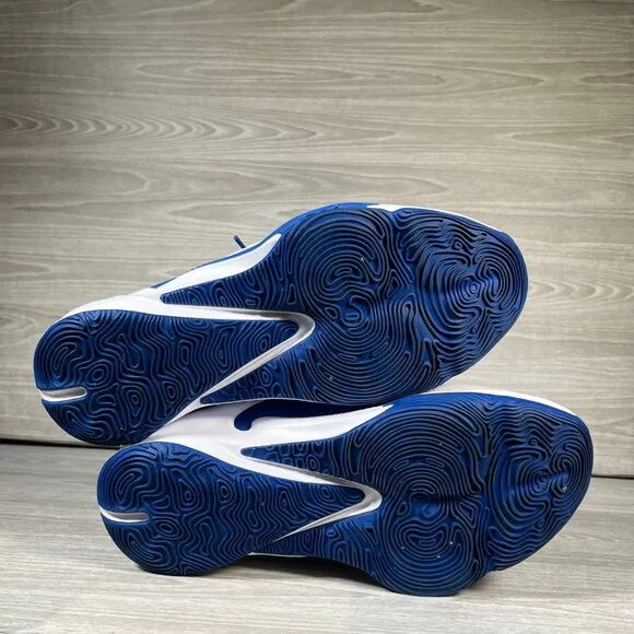 Nike Zoom Freak 3 TB Mens 12 Basketball Shoes Game Royal Blue White Athletic