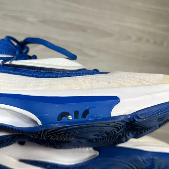 Nike Zoom Freak 3 TB Mens 12 Basketball Shoes Game Royal Blue White Athletic