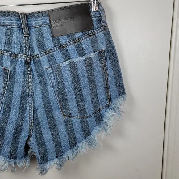 One Teaspoon Zephyr Outlaws Button Fly Pinstripe Shorts Size 24