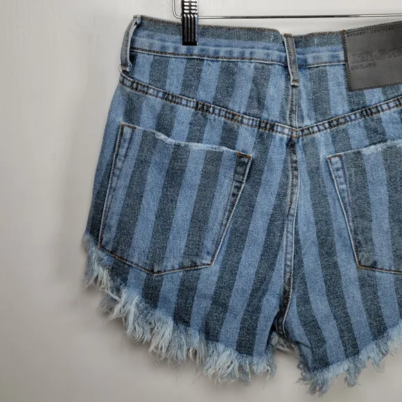 One Teaspoon Zephyr Outlaws Button Fly Pinstripe Shorts Size 24