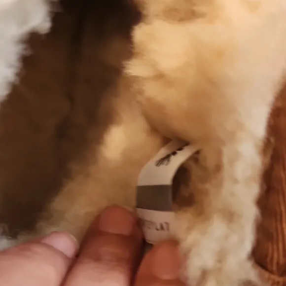 UGG Tan Classic Mini Boots